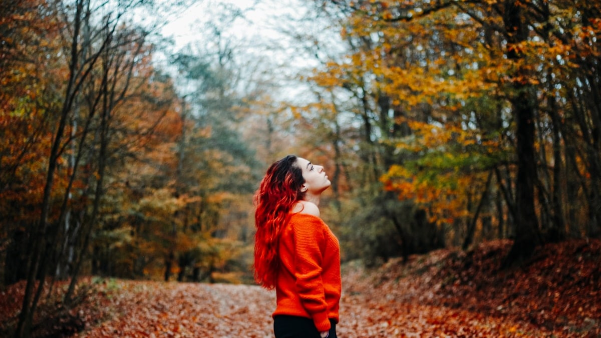 Red Dragon In Nature
